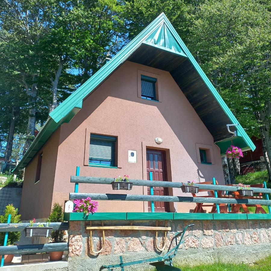 Vila Darija Zabljak  Exterior photo